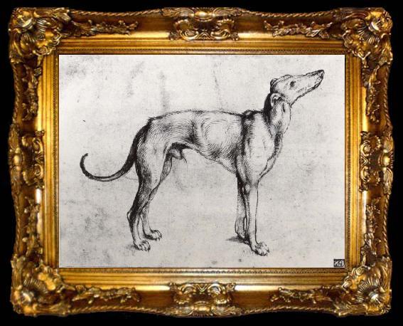 framed  Albrecht Durer A Grayhound, ta009-2